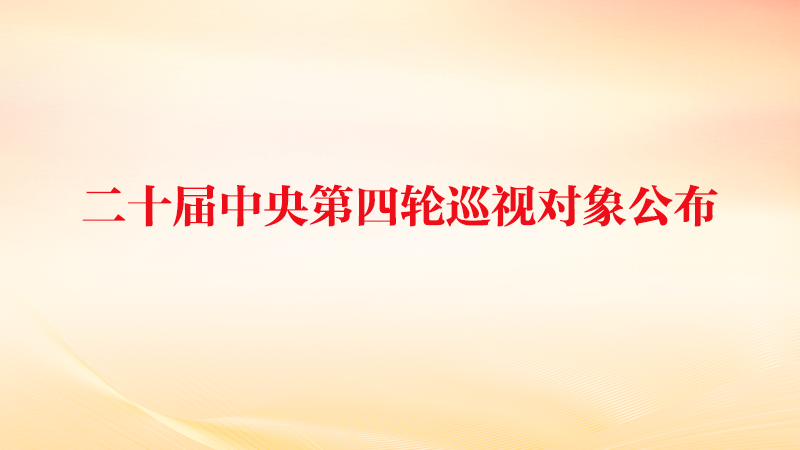 二十屆中央第四輪巡視對象公布